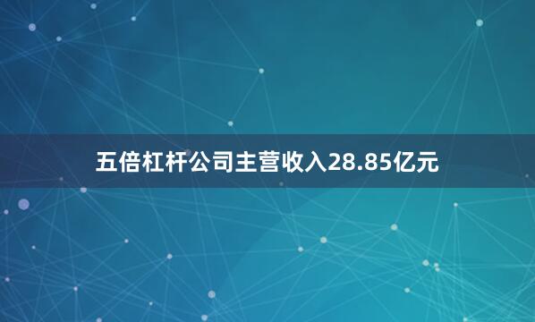 五倍杠杆公司主营收入28.85亿元