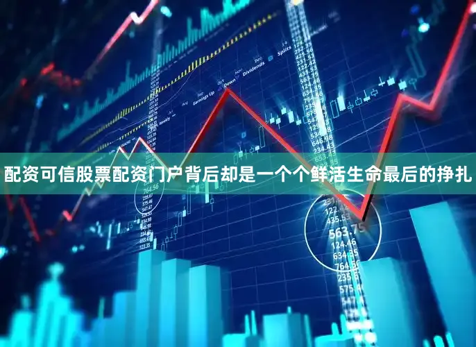 配资可信股票配资门户背后却是一个个鲜活生命最后的挣扎
