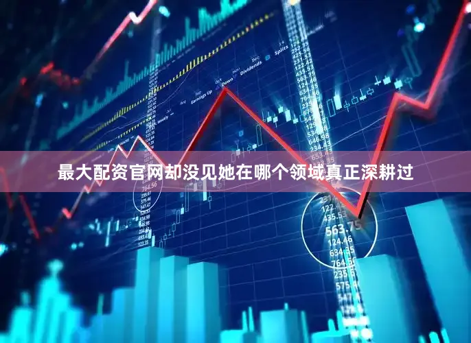 最大配资官网却没见她在哪个领域真正深耕过